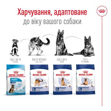Изображение 6 - Royal Canin Maxi Adult 5+