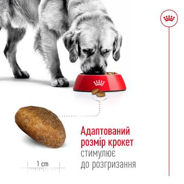 Изображение 3 - Royal Canin Maxi Ageing 8+