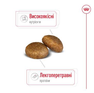 Изображение 4 - Royal Canin Maxi Ageing 8+