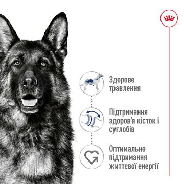 Изображение 5 - Royal Canin Maxi Ageing 8+