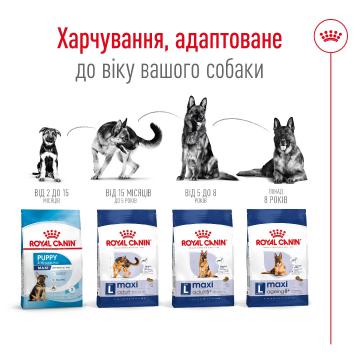 Изображение 6 - Royal Canin Maxi Ageing 8+