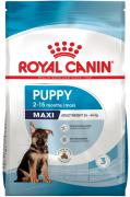 Royal Canin Maxi Puppy