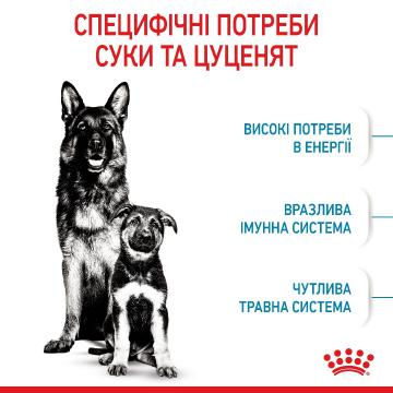 Изображение 4 - Royal Canin Maxi Starter