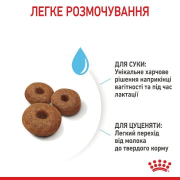 Изображение 6 - Royal Canin Maxi Starter