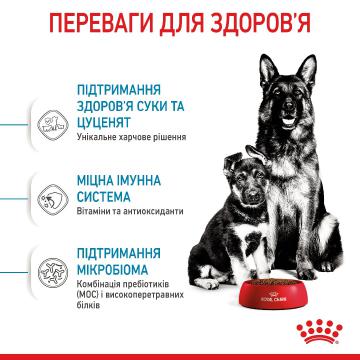 Изображение 5 - Royal Canin Maxi Starter