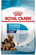 Royal Canin Maxi Starter