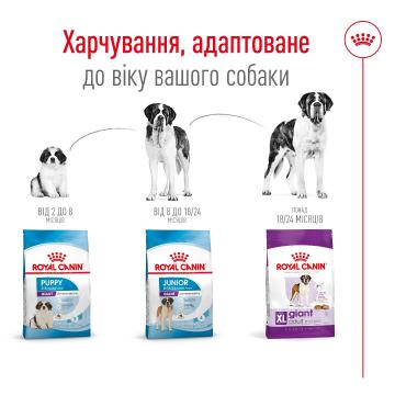 Изображение 6 - Royal Canin Giant Adult