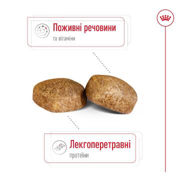 Изображение 4 - Royal Canin Giant Adult