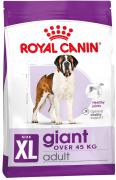 Royal Canin Giant Adult