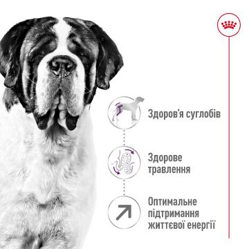 Изображение 5 - Royal Canin Giant Adult