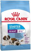 Royal Canin Giant Starter