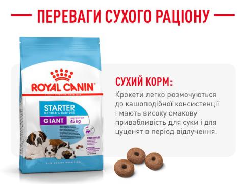 Изображение 2 - Royal Canin Giant Starter