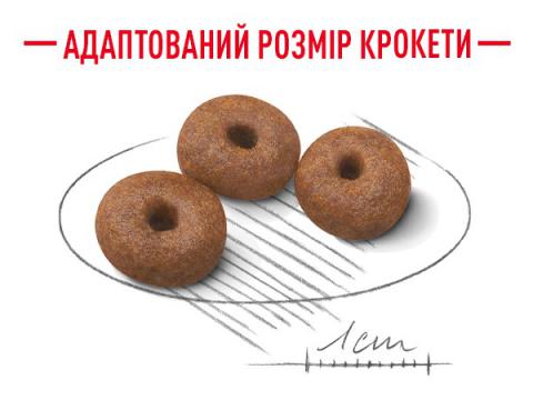 Изображение 3 - Royal Canin Giant Starter