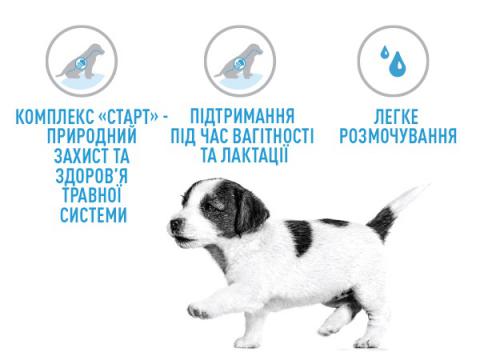 Изображение 4 - Royal Canin Giant Starter