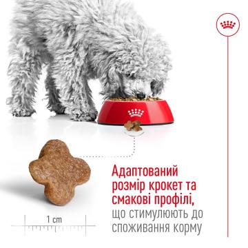 Изображение 3 - Royal Canin Mini Adult 8+