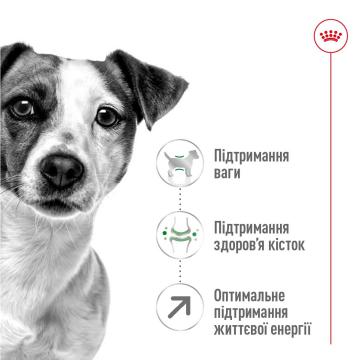 Изображение 4 - Royal Canin Mini Adult 8+