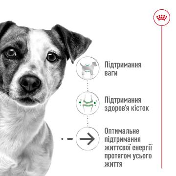 Изображение 3 - Royal Canin Mini Ageing 12+
