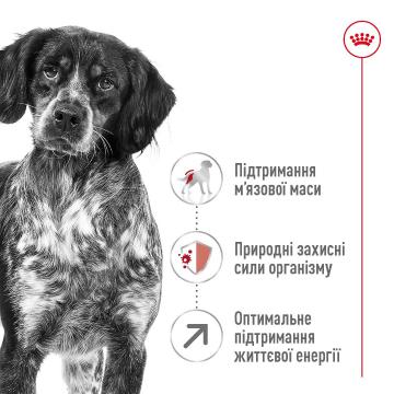 Изображение 5 - Royal Canin Medium Adult 7+