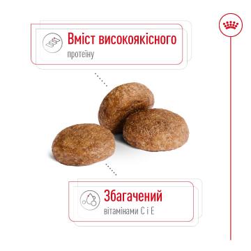 Изображение 3 - Royal Canin Medium Adult 7+
