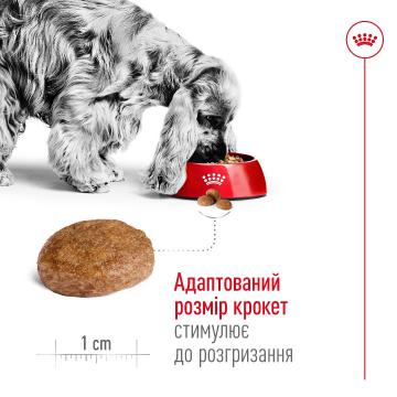 Изображение 4 - Royal Canin Medium Adult 7+