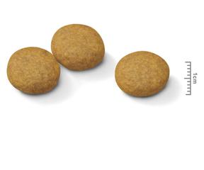 Изображение 3 - Royal Canin Medium Dermacomfort