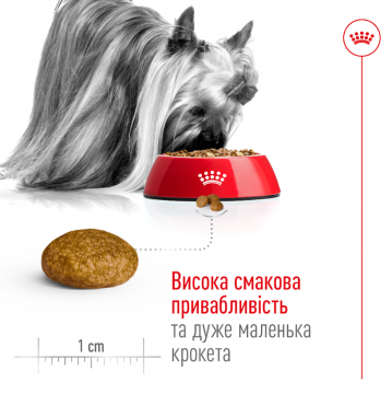 Изображение 3 - Royal Canin Xsmall Adult