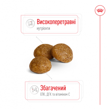 Изображение 4 - Royal Canin Xsmall Adult