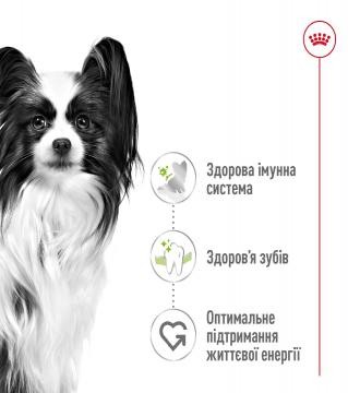 Изображение 6 - Royal Canin Xsmall Adult