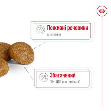 Изображение 3 - Royal Canin Xsmall Adult 8+