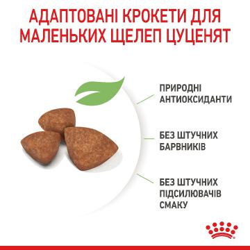 Изображение 4 - Royal Canin Xsmall Puppy