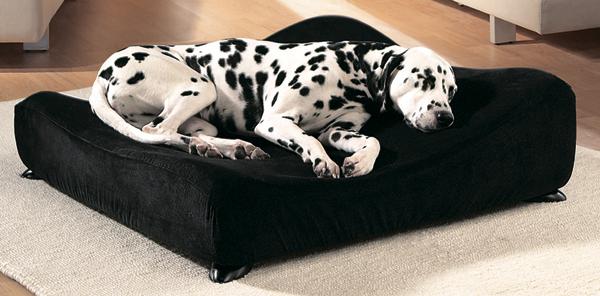 Изображение 1 - Savic Sofa Чехол для ортопедического дивана