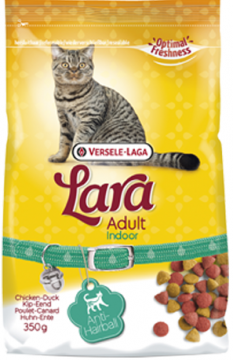 Изображение 1 - Lara Adult Indoor