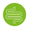 Saccharomyces