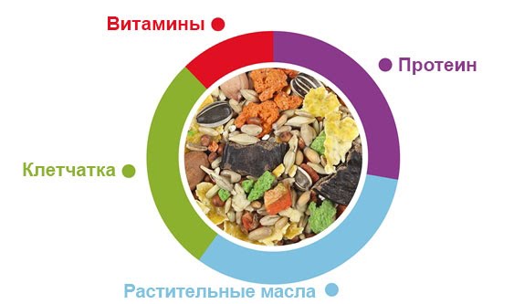 Корм для хомяков и мышей