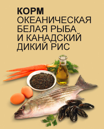 Преимущества Pronature Holistic Dog Oceanic White Fish & Wild Rice